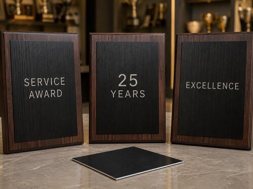 LYS-8272 brushed black engraved plastic inserts mounted on professional service award and recognition plaques